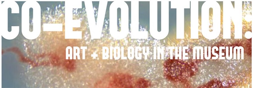 CO-EVOLUTION: Art + Biology