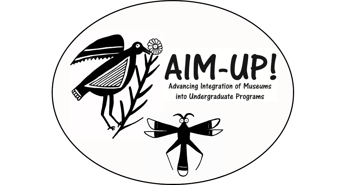 About AIM-UP!
