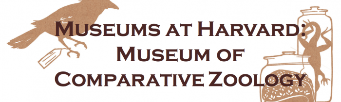 Museum of Comparative Zoology, Harvard University