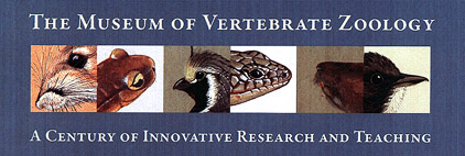 Museum of Vertebrate Zoology, University of California, Berkeley